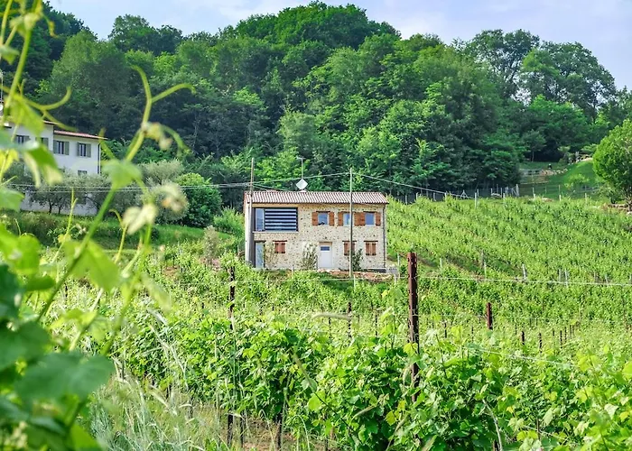 Ca' Del Biss Апартаменты Monfumo